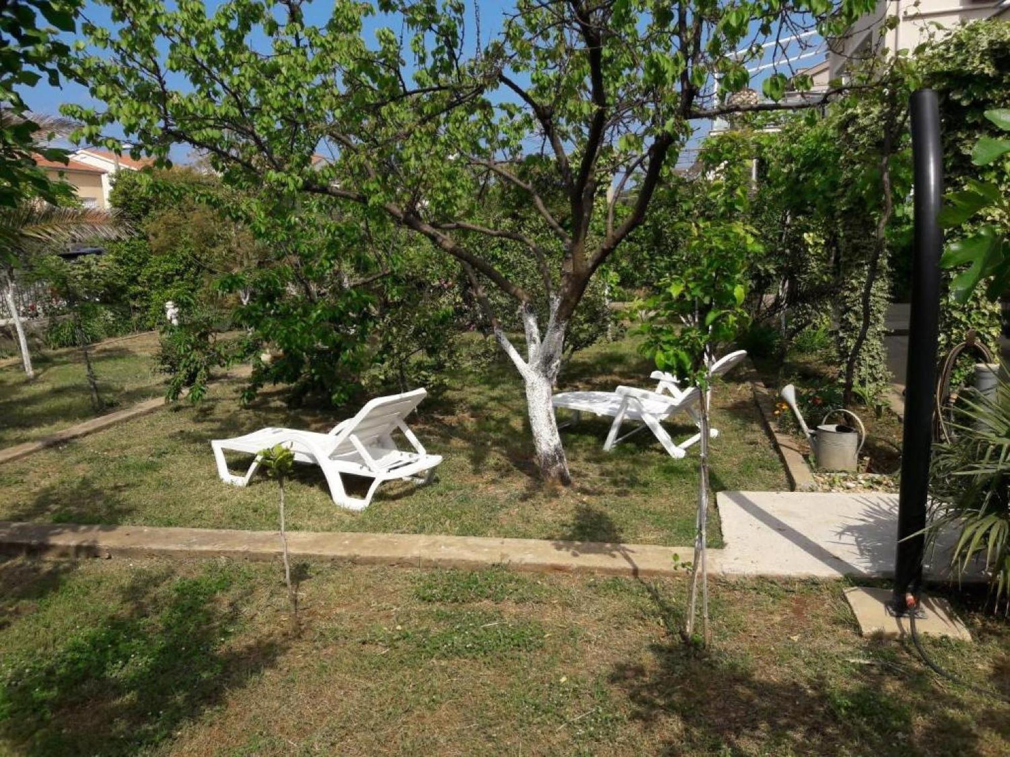 Apartments Amalia Zadar Ruang foto