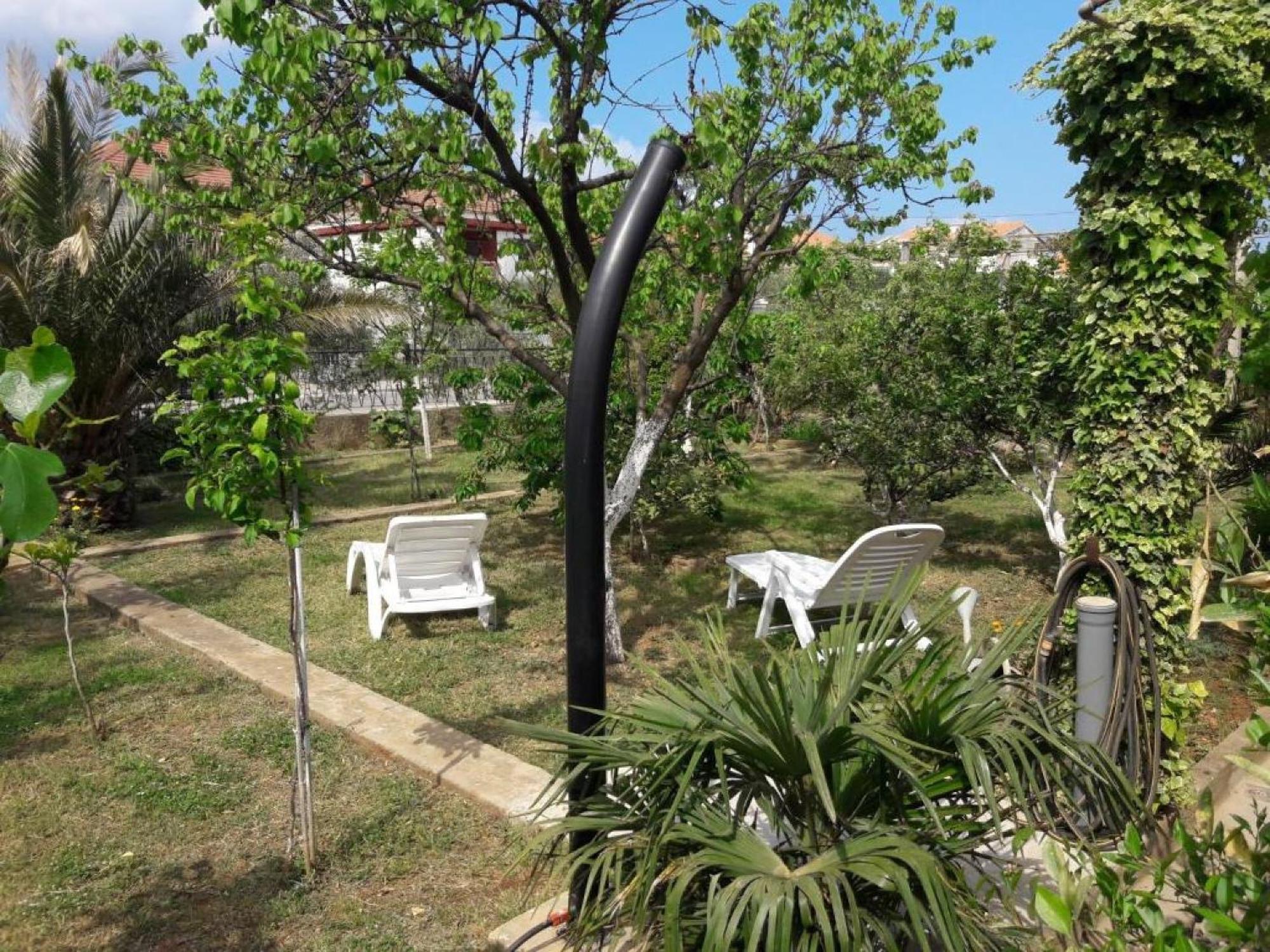 Apartments Amalia Zadar Ruang foto
